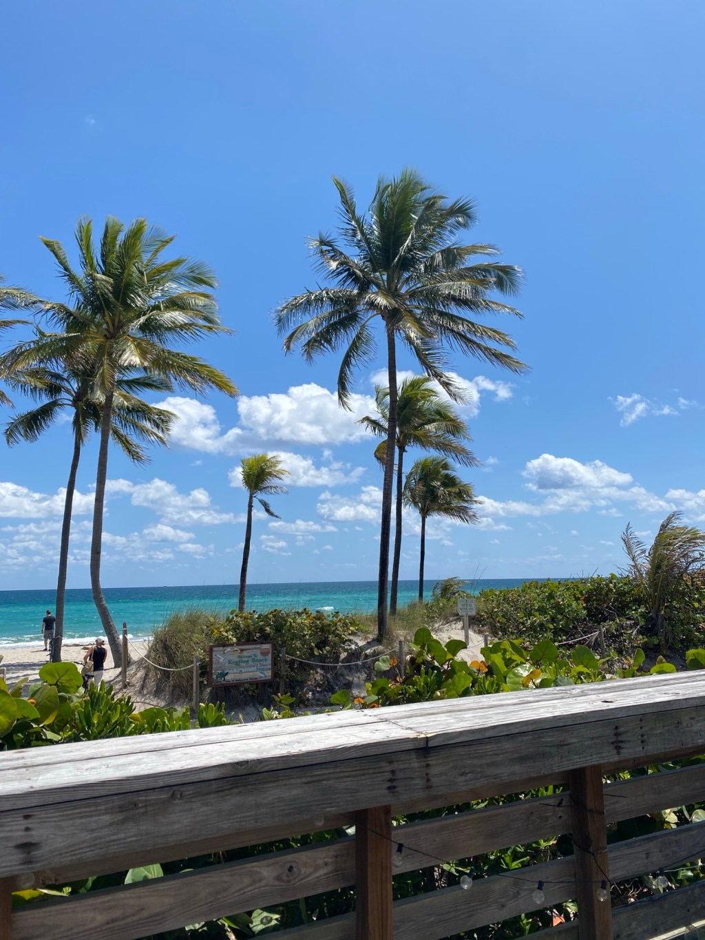 The Complete Guide to Hollywood Beach,&nbsp;Florida
